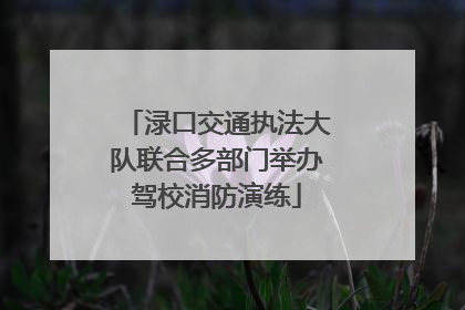 渌口交通执法大队联合多部门举办驾校消防演练