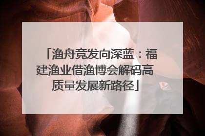 渔舟竞发向深蓝：福建渔业借渔博会解码高质量发展新路径