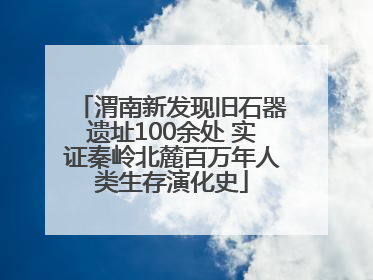 渭南新发现旧石器遗址100余处 实证秦岭北麓百万年人类生存演化史