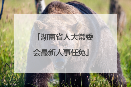 湖南省人大常委会最新人事任免