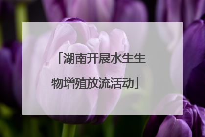 湖南开展水生生物增殖放流活动