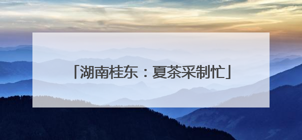 湖南桂东：夏茶采制忙