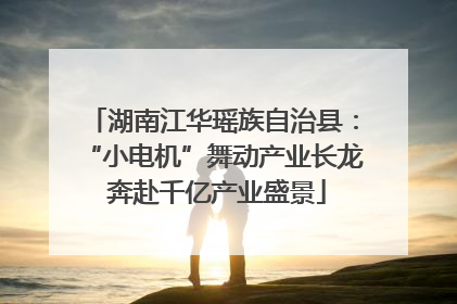 湖南江华瑶族自治县：“小电机”舞动产业长龙 奔赴千亿产业盛景