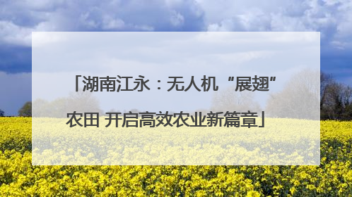 湖南江永：无人机“展翅”农田 开启高效农业新篇章