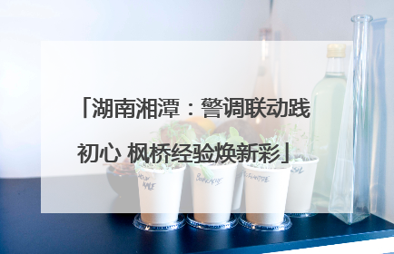 湖南湘潭：警调联动践初心 枫桥经验焕新彩