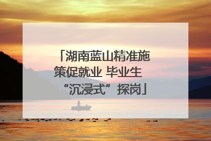 湖南蓝山精准施策促就业 毕业生“沉浸式”探岗