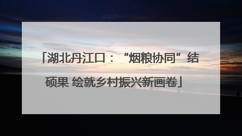 湖北丹江口：“烟粮协同”结硕果 绘就乡村振兴新画卷