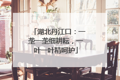 湖北丹江口：一垄一垄细耕耘，一叶一叶精呵护