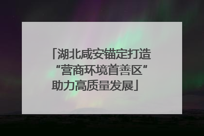 湖北咸安锚定打造“营商环境首善区”助力高质量发展