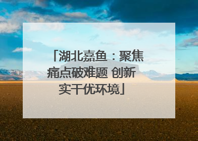 湖北嘉鱼：聚焦痛点破难题 创新实干优环境