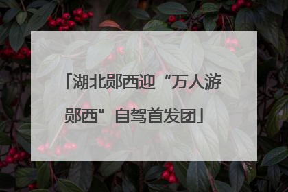 湖北郧西迎“万人游郧西”自驾首发团