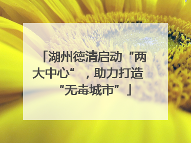 湖州德清启动“两大中心”，助力打造“无毒城市”