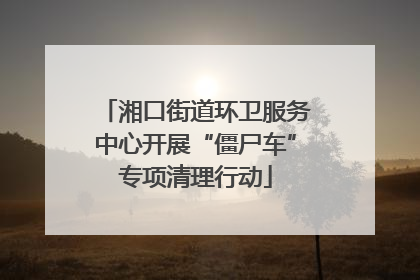湘口街道环卫服务中心开展“僵尸车”专项清理行动
