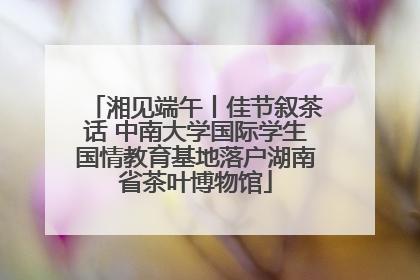 湘见端午丨佳节叙茶话 中南大学国际学生国情教育基地落户湖南省茶叶博物馆