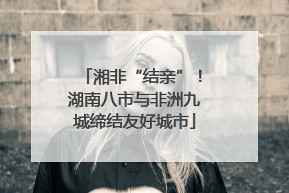 湘非“结亲”！湖南八市与非洲九城缔结友好城市