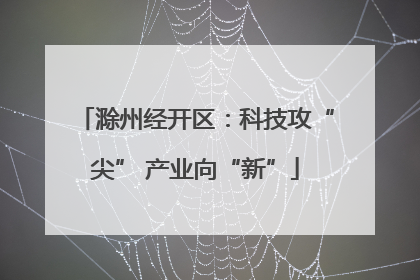 滁州经开区：科技攻“尖” 产业向“新”