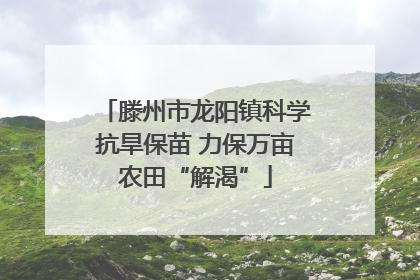 滕州市龙阳镇科学抗旱保苗 力保万亩农田“解渴”