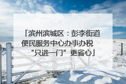 滨州滨城区：彭李街道便民服务中心办事办税 “只进一门”更省心