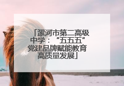 漯河市第二高级中学：“五五五”党建品牌赋能教育高质量发展