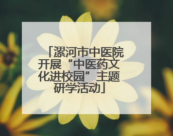 漯河市中医院开展“中医药文化进校园”主题研学活动