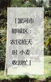 漯河市郾城区：农民抢天时 小麦收割忙