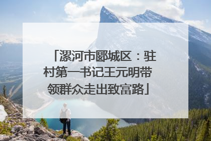 漯河市郾城区：驻村第一书记王元明带领群众走出致富路