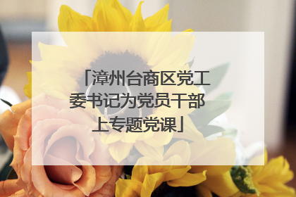 漳州台商区党工委书记为党员干部上专题党课