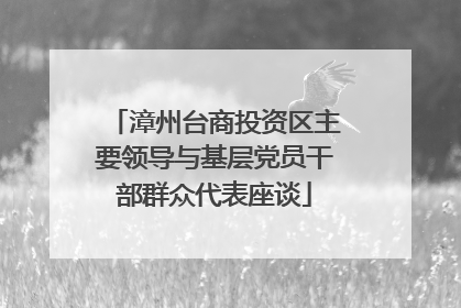 漳州台商投资区主要领导与基层党员干部群众代表座谈