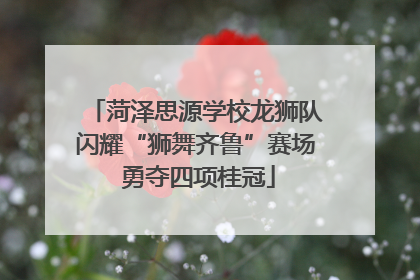 菏泽思源学校龙狮队闪耀“狮舞齐鲁”赛场 勇夺四项桂冠
