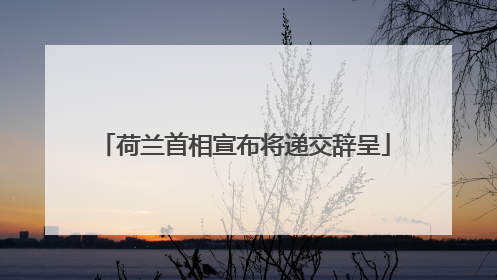 荷兰首相宣布将递交辞呈