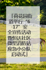 荷花园街道举行“6·17”安全宣传活动暨恒达社区微型消防站应急小分队启动式