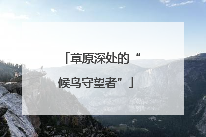 草原深处的“候鸟守望者”