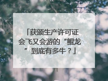 获颁生产许可证 会飞又会游的“鲲龙”到底有多牛？