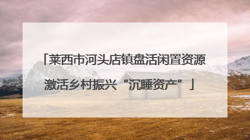 莱西市河头店镇盘活闲置资源 激活乡村振兴“沉睡资产”
