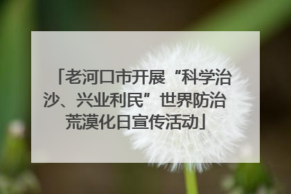 老河口市开展“科学治沙、兴业利民”世界防治荒漠化日宣传活动