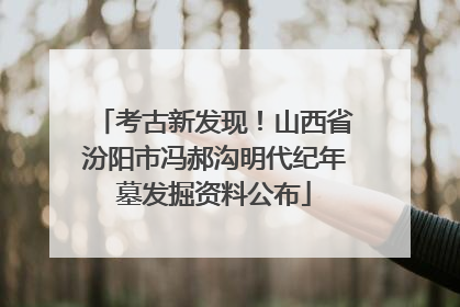 考古新发现！山西省汾阳市冯郝沟明代纪年墓发掘资料公布