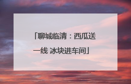 聊城临清：西瓜送一线 冰块进车间
