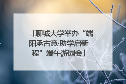 聊城大学举办“端阳承古意·助学启新程”端午游园会