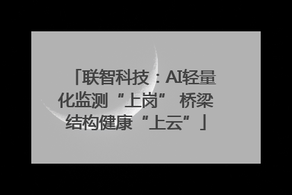 联智科技：AI轻量化监测“上岗” 桥梁结构健康“上云”