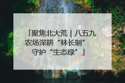聚焦北大荒｜八五九农场深耕“林长制” 守护“生态绿”