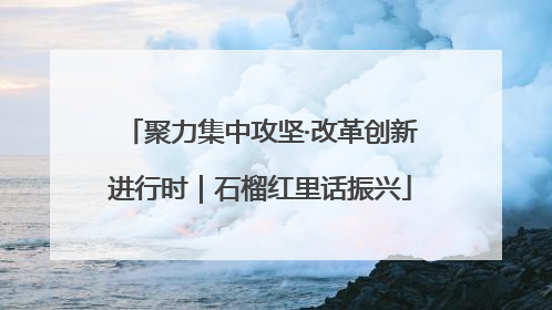 聚力集中攻坚·改革创新进行时｜石榴红里话振兴