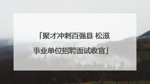 聚才冲刺百强县 松滋事业单位招聘面试收官