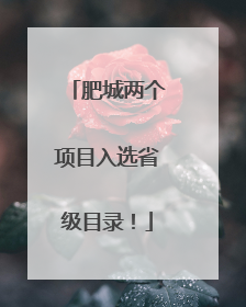 肥城两个项目入选省级目录！