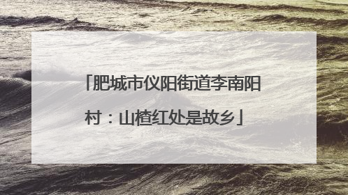 肥城市仪阳街道李南阳村：山楂红处是故乡