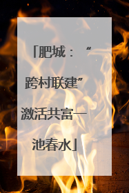 肥城：“跨村联建”激活共富一池春水