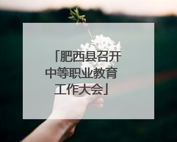 肥西县召开中等职业教育工作大会