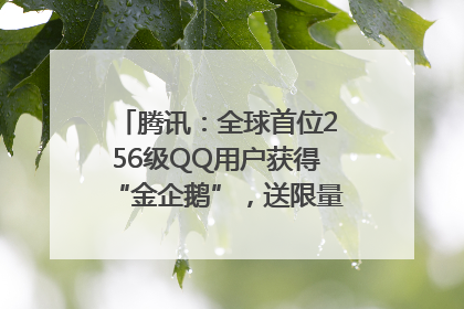腾讯：全球首位256级QQ用户获得“金企鹅”，送限量版神秘惊喜等礼物
