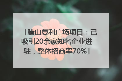 腊山复利广场项目：已吸引20余家知名企业进驻，整体招商率70%