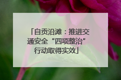 自贡沿滩：推进交通安全“四项整治”行动取得实效