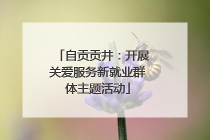 自贡贡井：开展关爱服务新就业群体主题活动